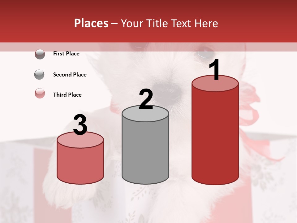 A Small White Dog Sitting Inside Of A Present Box PowerPoint Template