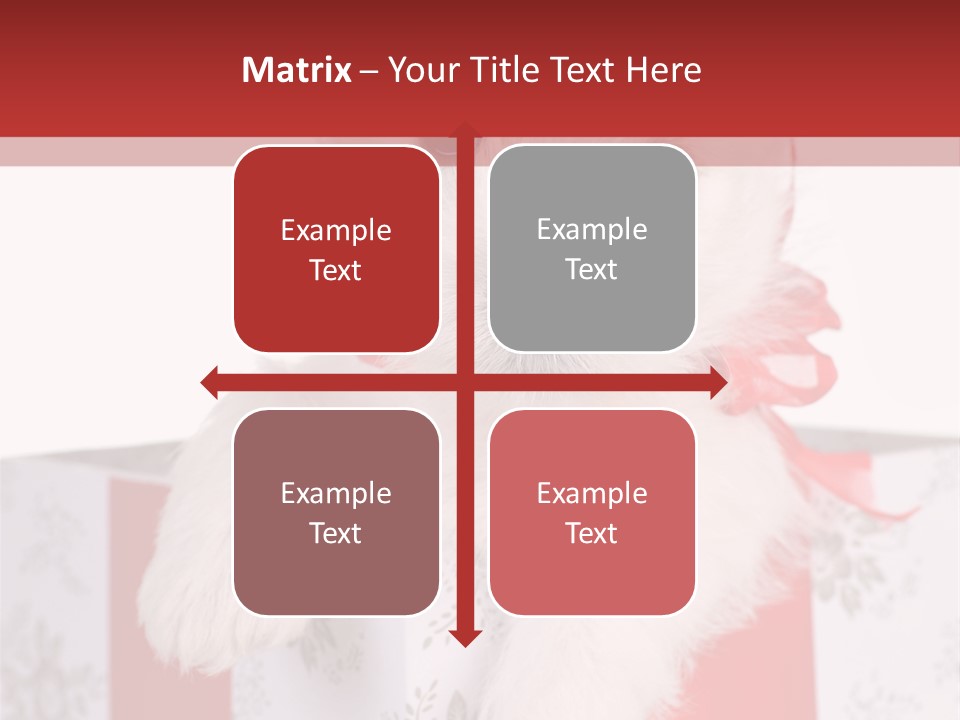 A Small White Dog Sitting Inside Of A Present Box PowerPoint Template