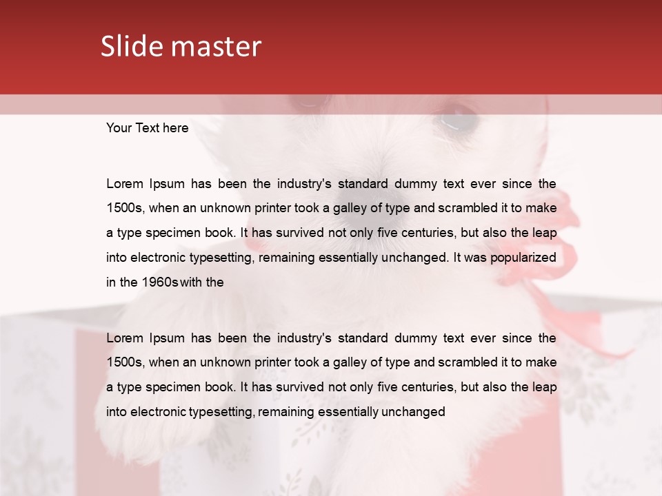 A Small White Dog Sitting Inside Of A Present Box PowerPoint Template