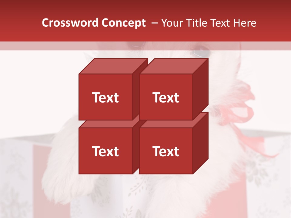 A Small White Dog Sitting Inside Of A Present Box PowerPoint Template