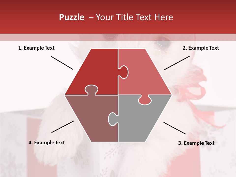 A Small White Dog Sitting Inside Of A Present Box PowerPoint Template