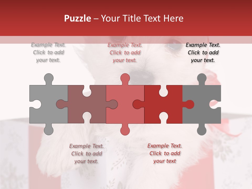 A Small White Dog Sitting Inside Of A Present Box PowerPoint Template