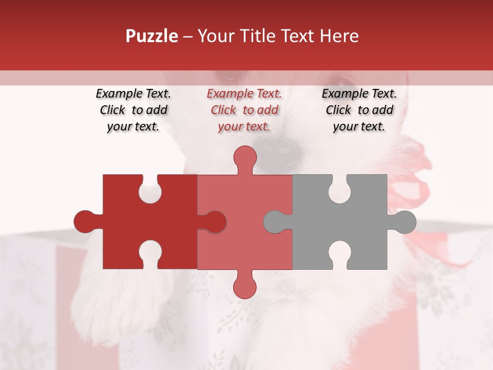 A Small White Dog Sitting Inside Of A Present Box PowerPoint Template