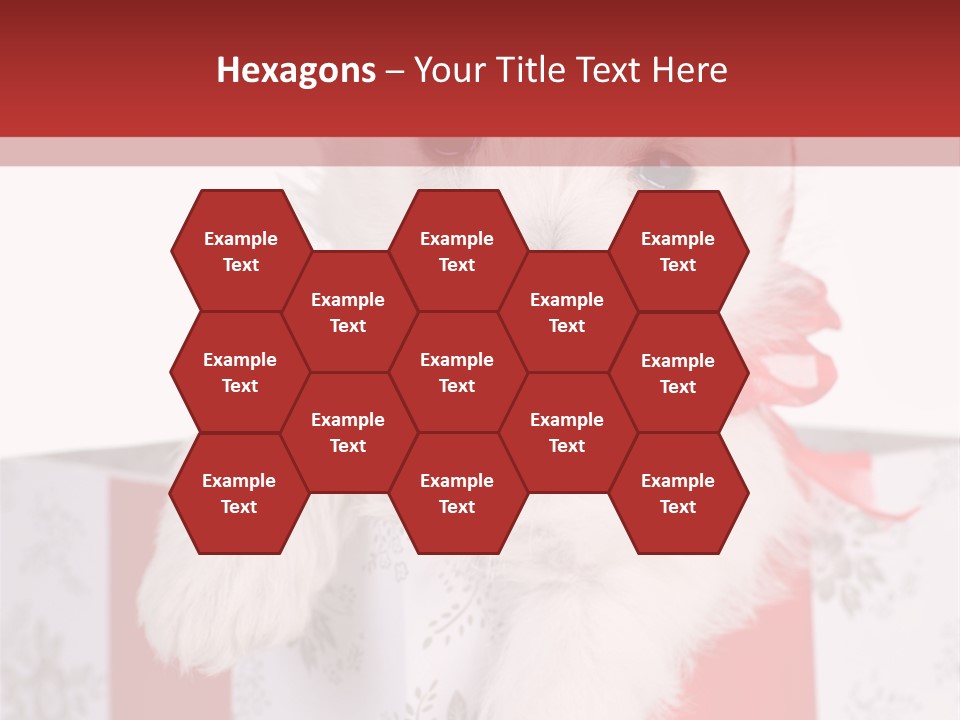 A Small White Dog Sitting Inside Of A Present Box PowerPoint Template