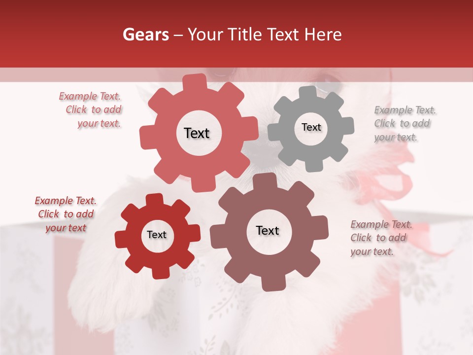 A Small White Dog Sitting Inside Of A Present Box PowerPoint Template