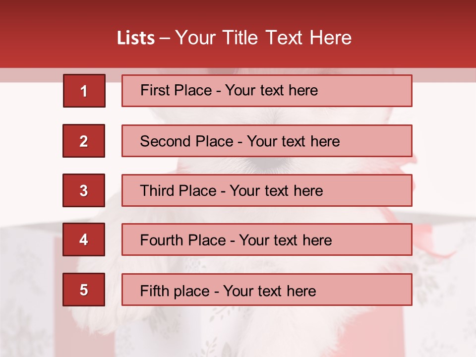 A Small White Dog Sitting Inside Of A Present Box PowerPoint Template