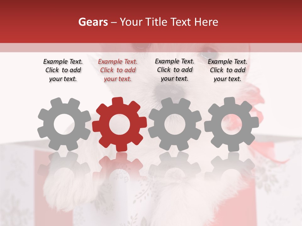 A Small White Dog Sitting Inside Of A Present Box PowerPoint Template