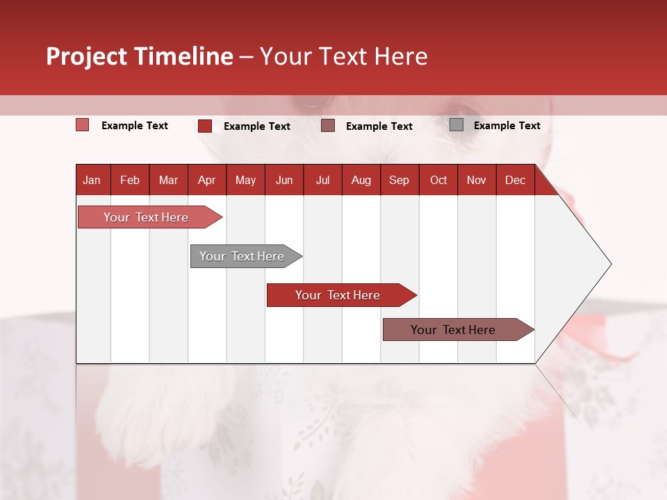 A Small White Dog Sitting Inside Of A Present Box PowerPoint Template