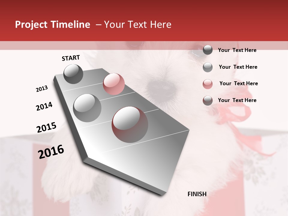 A Small White Dog Sitting Inside Of A Present Box PowerPoint Template