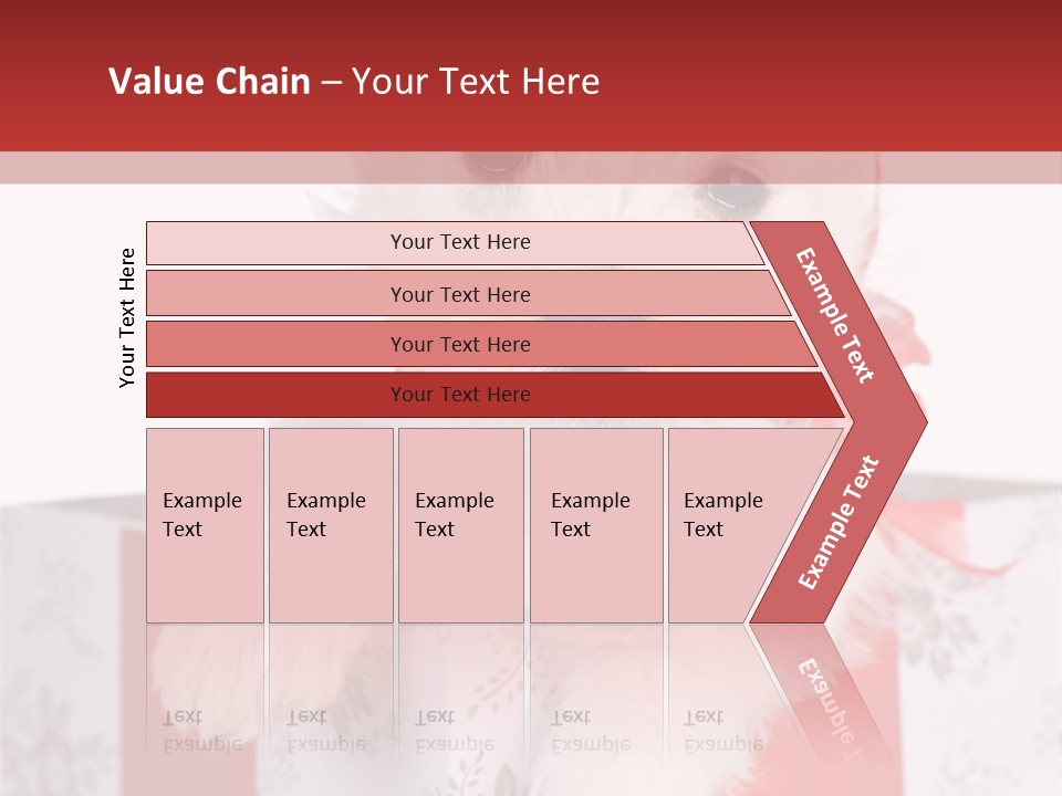 A Small White Dog Sitting Inside Of A Present Box PowerPoint Template