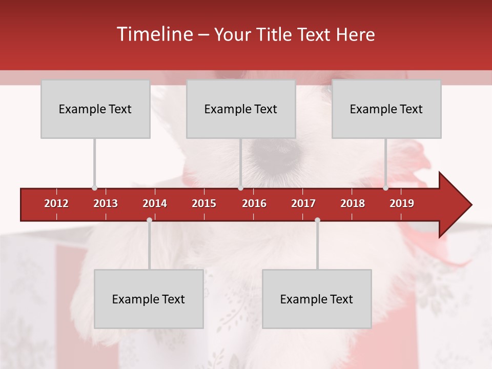 A Small White Dog Sitting Inside Of A Present Box PowerPoint Template