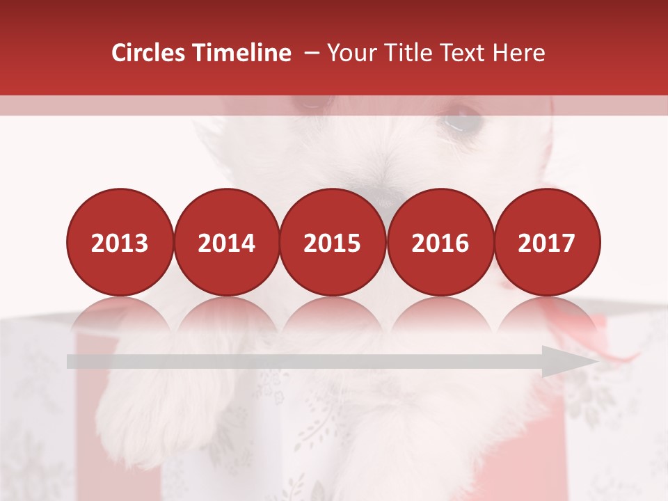 A Small White Dog Sitting Inside Of A Present Box PowerPoint Template