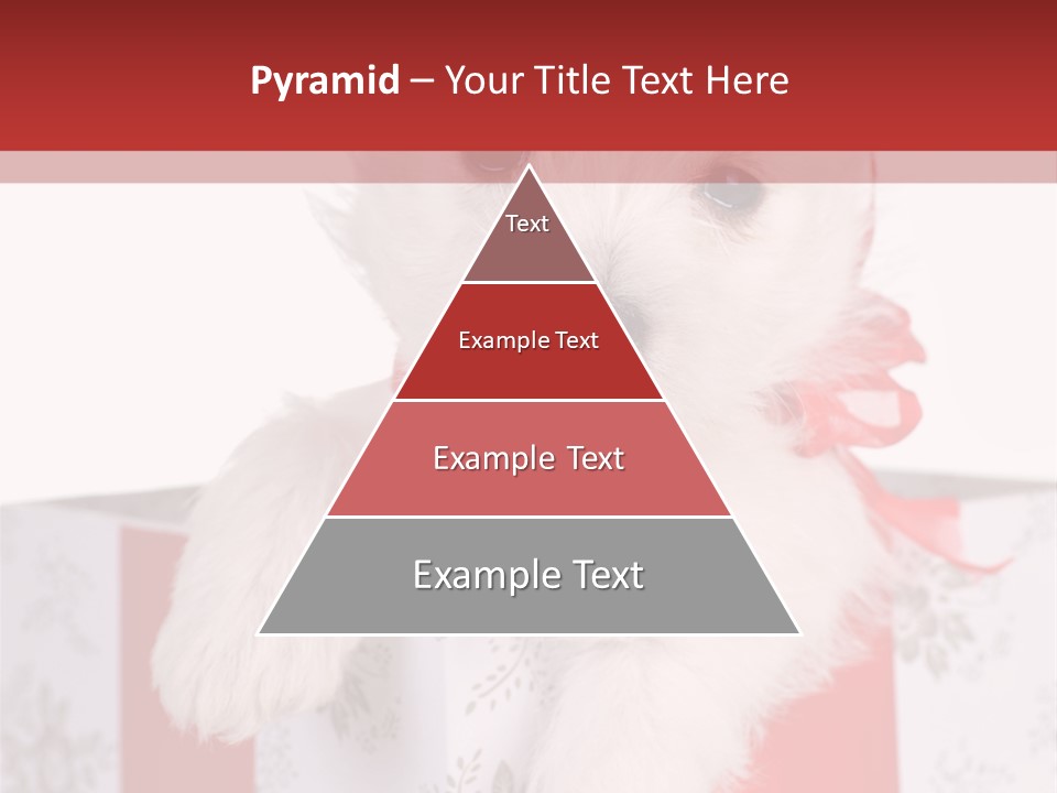 A Small White Dog Sitting Inside Of A Present Box PowerPoint Template