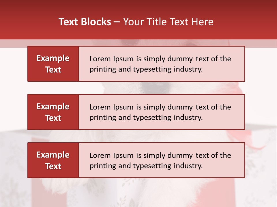 A Small White Dog Sitting Inside Of A Present Box PowerPoint Template
