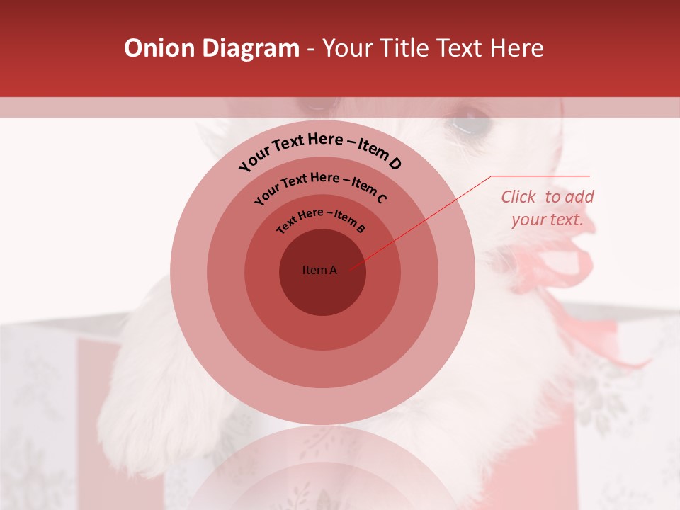 A Small White Dog Sitting Inside Of A Present Box PowerPoint Template