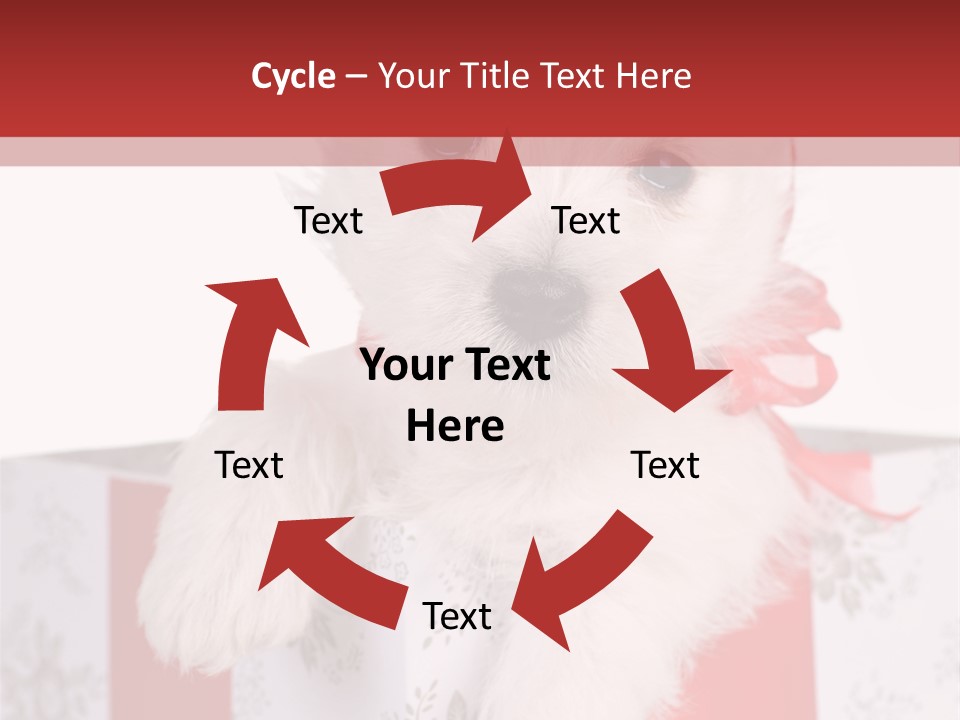 A Small White Dog Sitting Inside Of A Present Box PowerPoint Template