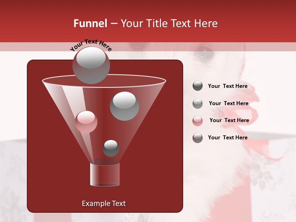 A Small White Dog Sitting Inside Of A Present Box PowerPoint Template