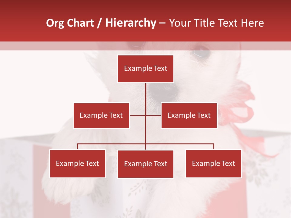 A Small White Dog Sitting Inside Of A Present Box PowerPoint Template