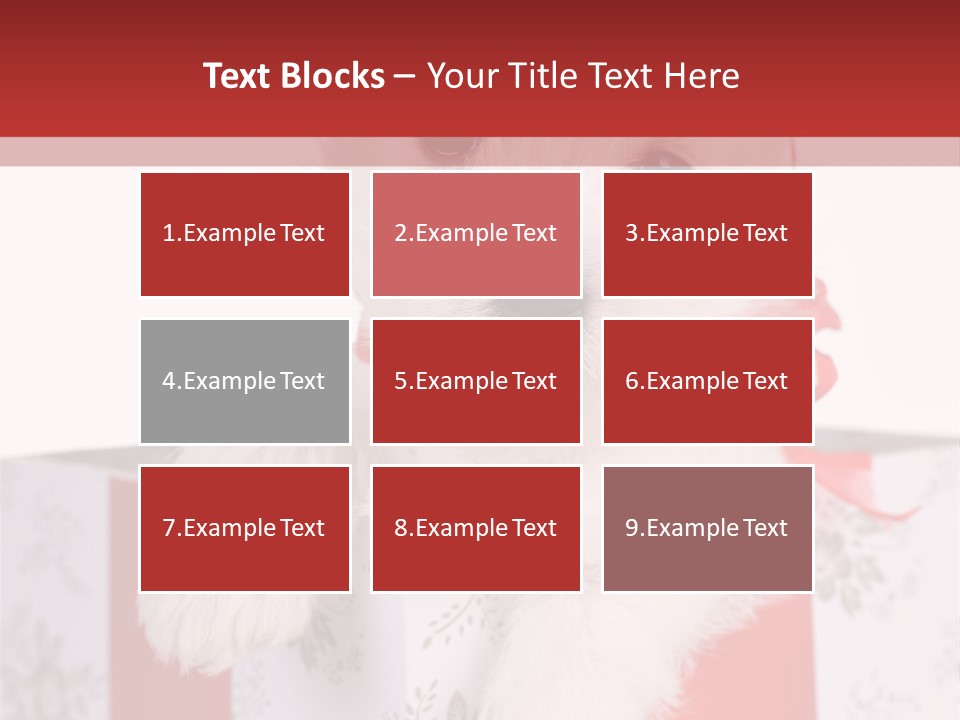 A Small White Dog Sitting Inside Of A Present Box PowerPoint Template