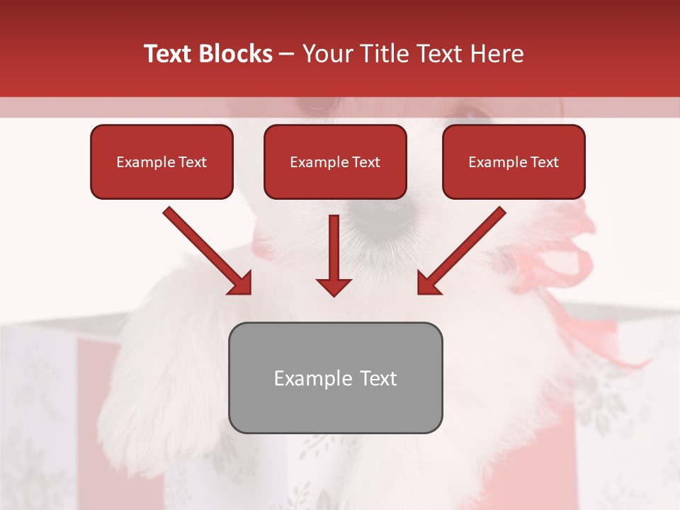 A Small White Dog Sitting Inside Of A Present Box PowerPoint Template
