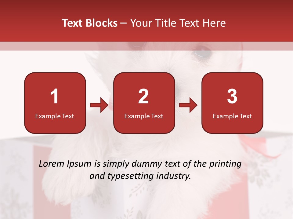 A Small White Dog Sitting Inside Of A Present Box PowerPoint Template