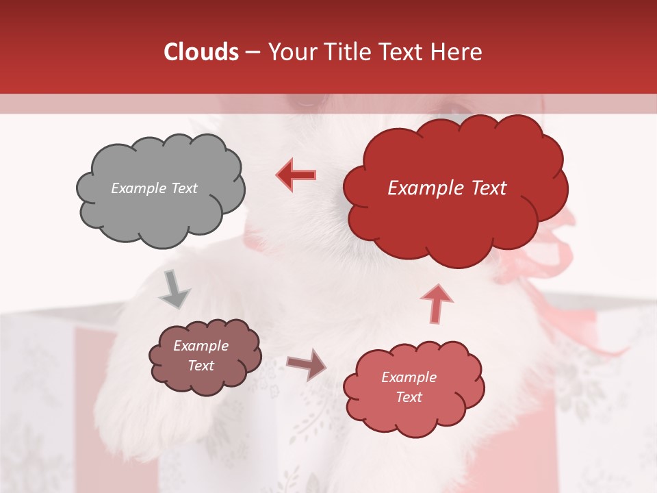 A Small White Dog Sitting Inside Of A Present Box PowerPoint Template