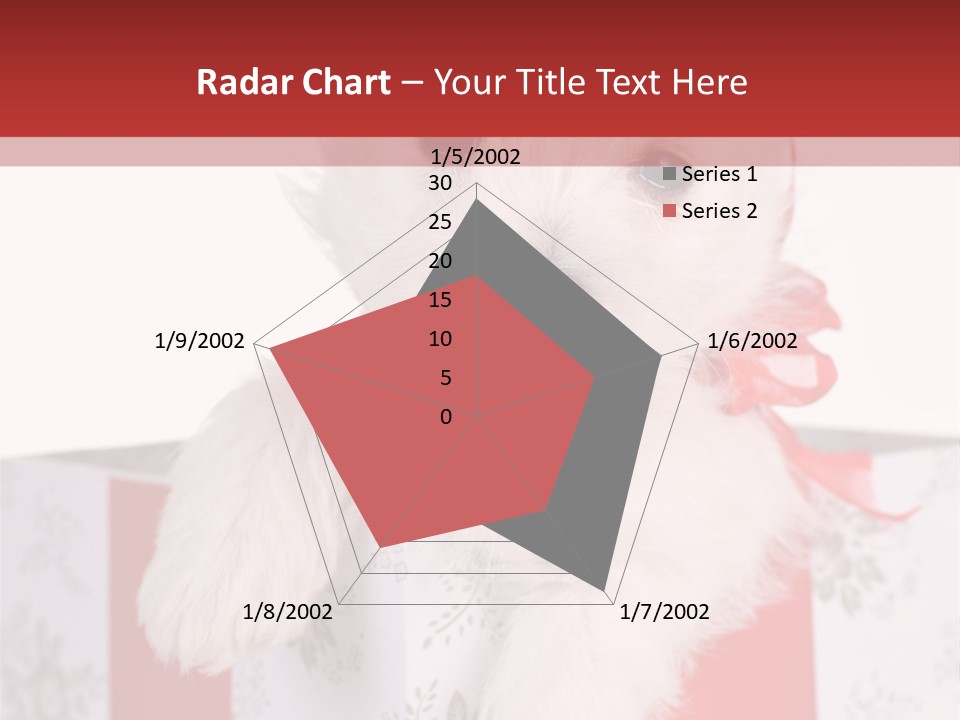 A Small White Dog Sitting Inside Of A Present Box PowerPoint Template