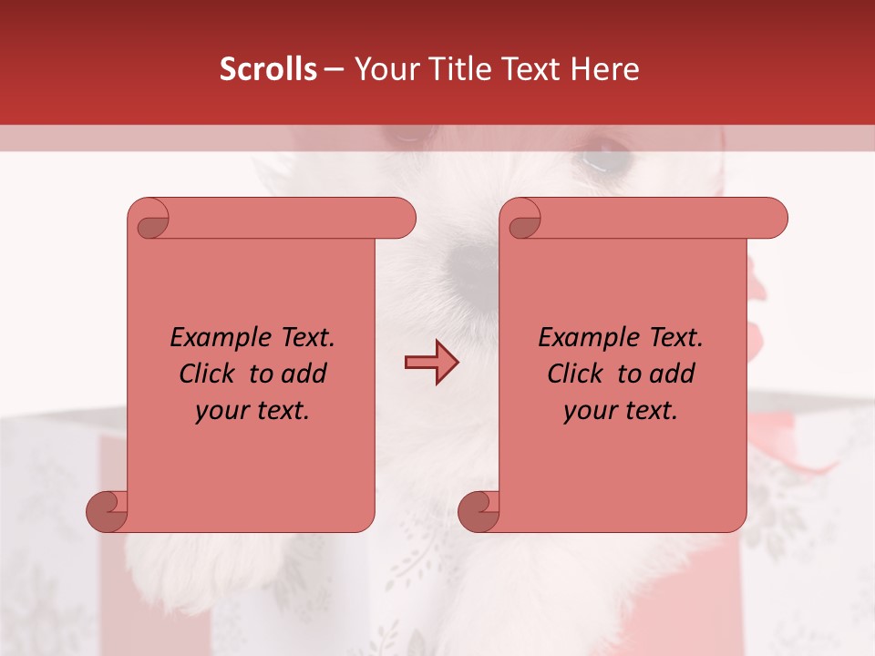 A Small White Dog Sitting Inside Of A Present Box PowerPoint Template