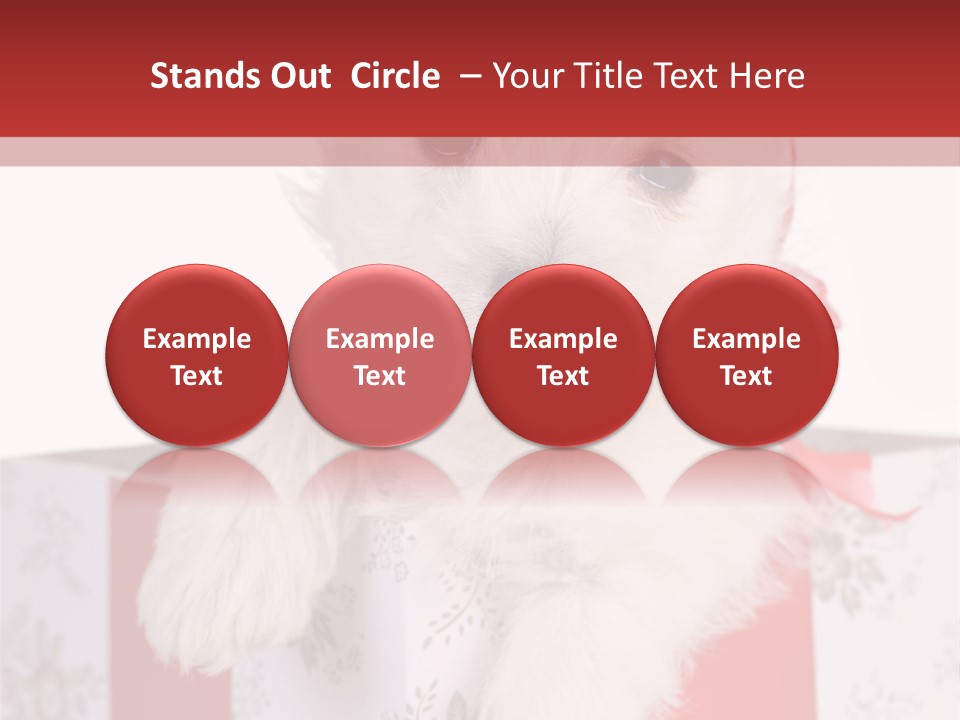 A Small White Dog Sitting Inside Of A Present Box PowerPoint Template