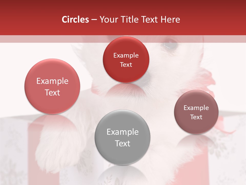 A Small White Dog Sitting Inside Of A Present Box PowerPoint Template