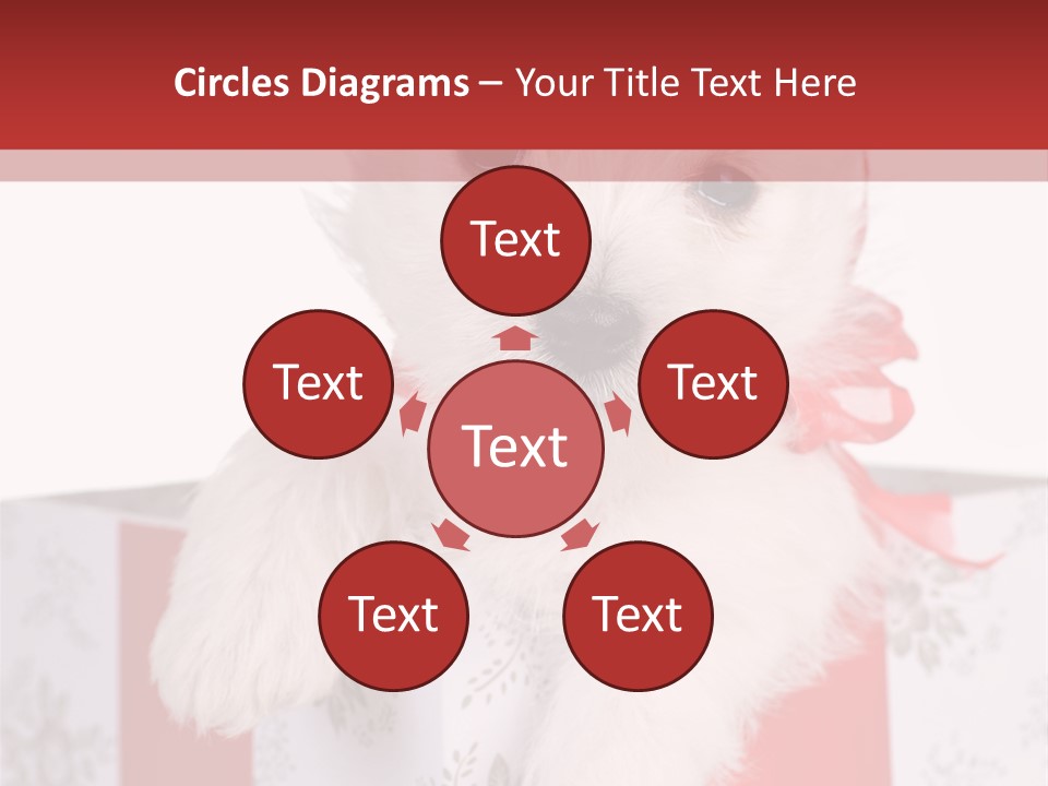 A Small White Dog Sitting Inside Of A Present Box PowerPoint Template