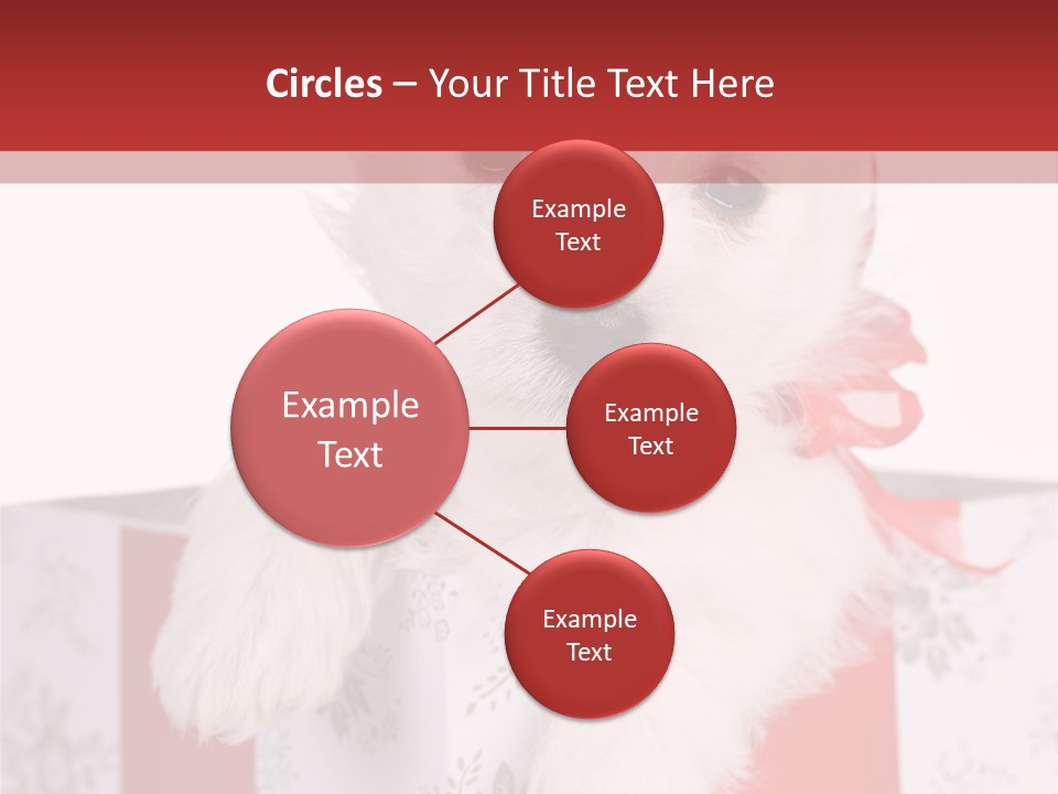 A Small White Dog Sitting Inside Of A Present Box PowerPoint Template
