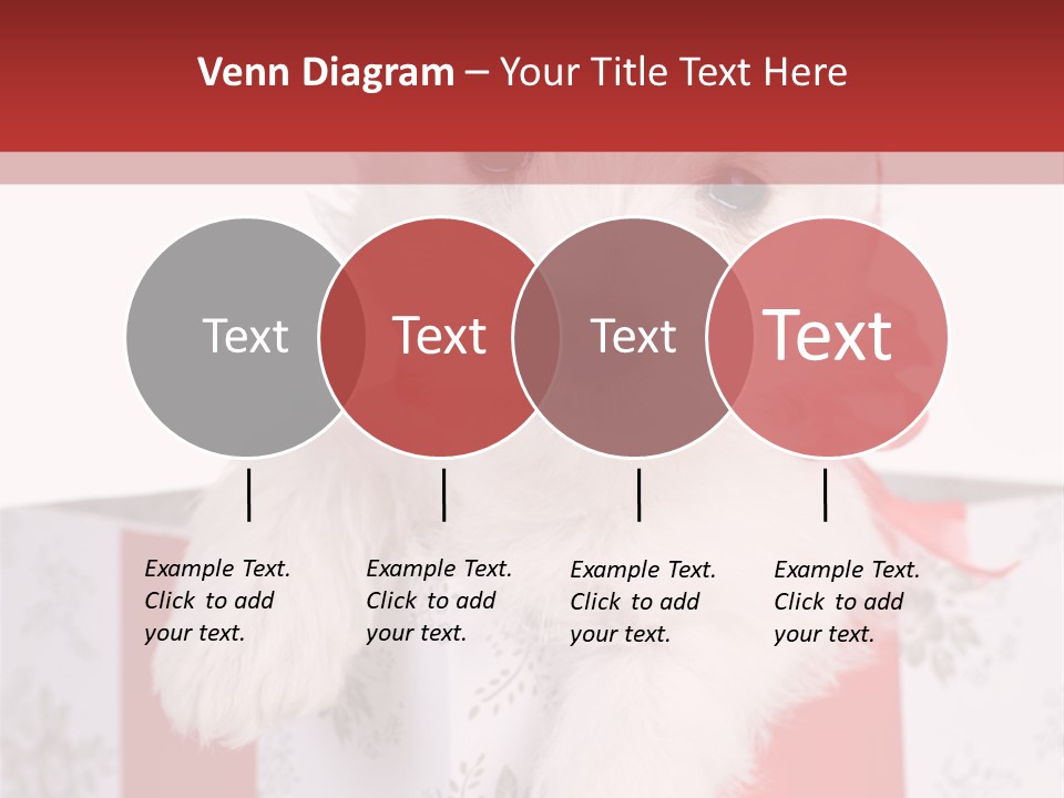 A Small White Dog Sitting Inside Of A Present Box PowerPoint Template