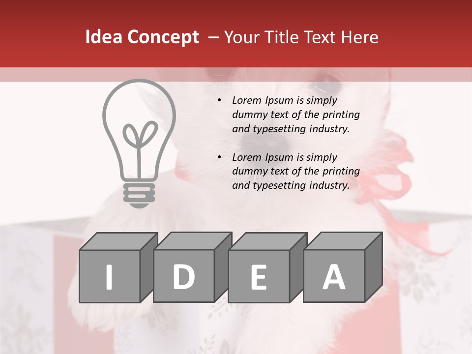 A Small White Dog Sitting Inside Of A Present Box PowerPoint Template