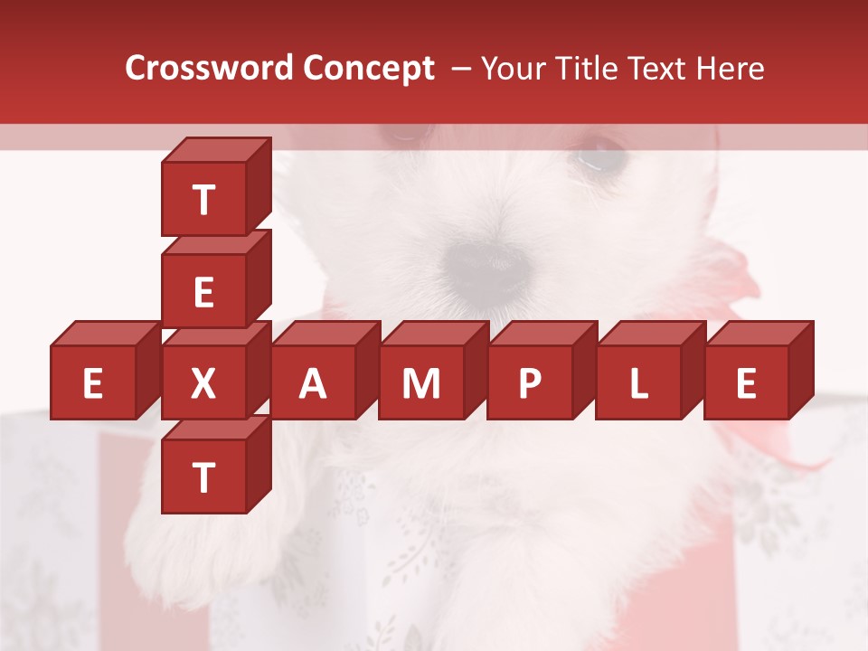 A Small White Dog Sitting Inside Of A Present Box PowerPoint Template