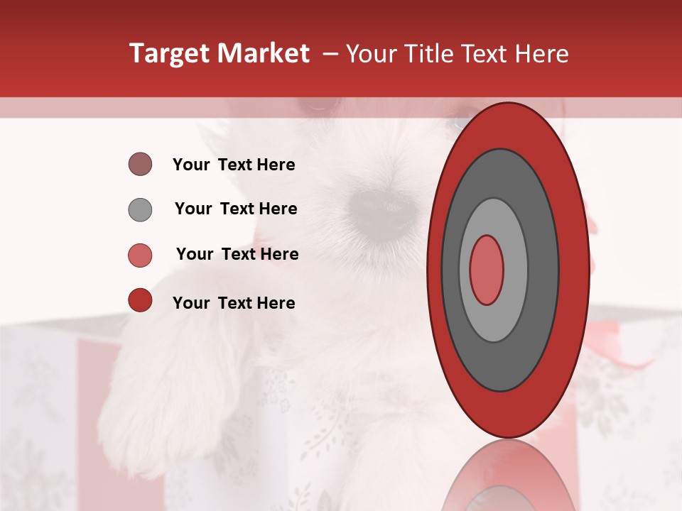A Small White Dog Sitting Inside Of A Present Box PowerPoint Template