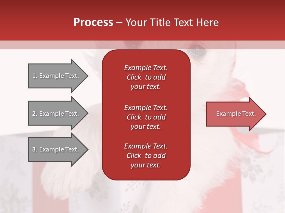 A Small White Dog Sitting Inside Of A Present Box PowerPoint Template