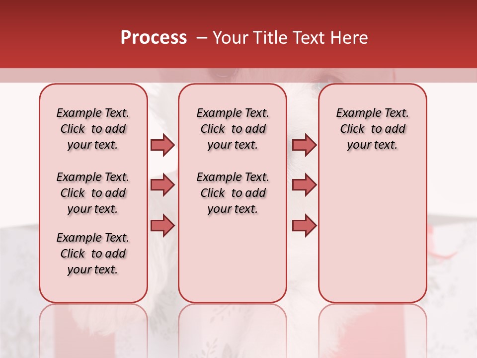 A Small White Dog Sitting Inside Of A Present Box PowerPoint Template