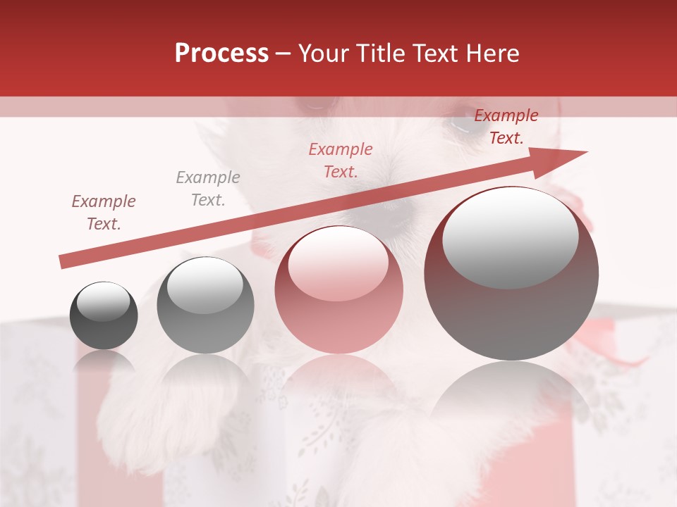 A Small White Dog Sitting Inside Of A Present Box PowerPoint Template