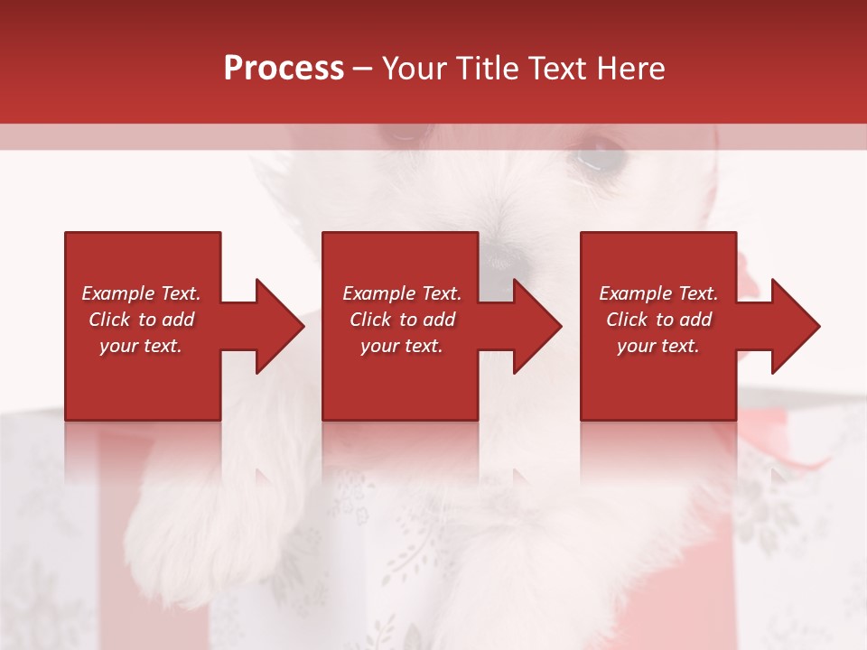 A Small White Dog Sitting Inside Of A Present Box PowerPoint Template
