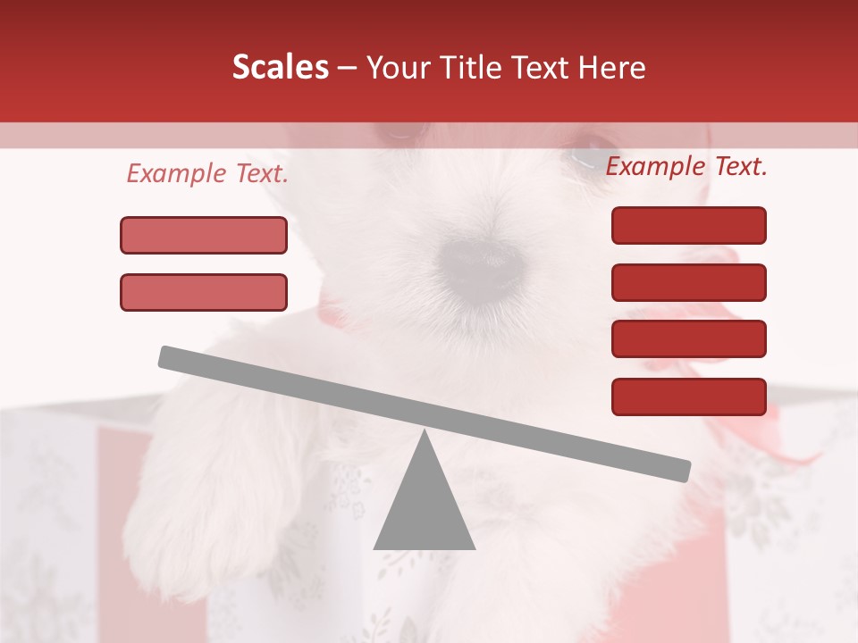 A Small White Dog Sitting Inside Of A Present Box PowerPoint Template