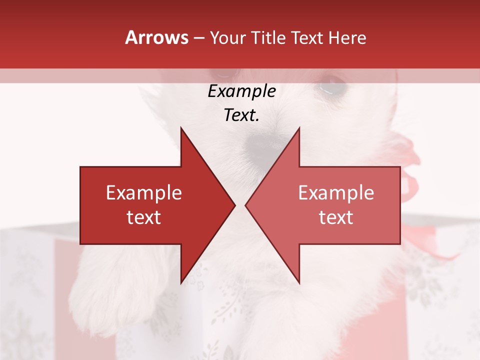 A Small White Dog Sitting Inside Of A Present Box PowerPoint Template