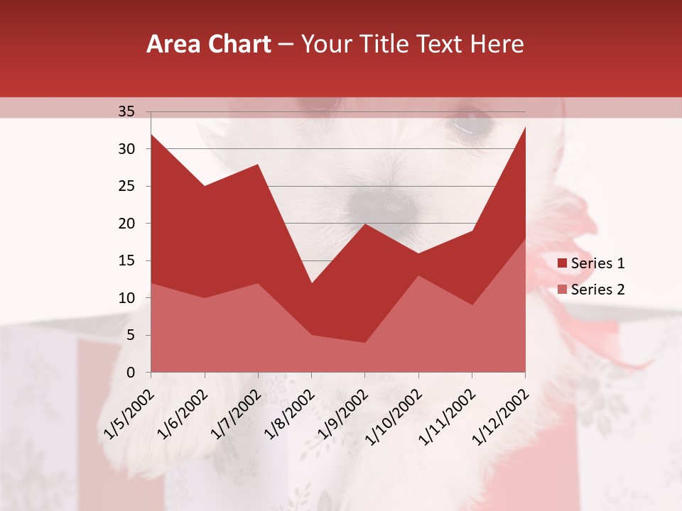 A Small White Dog Sitting Inside Of A Present Box PowerPoint Template