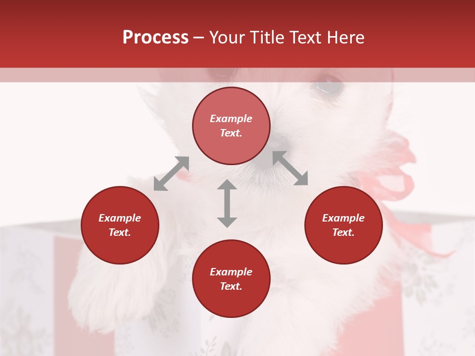 A Small White Dog Sitting Inside Of A Present Box PowerPoint Template