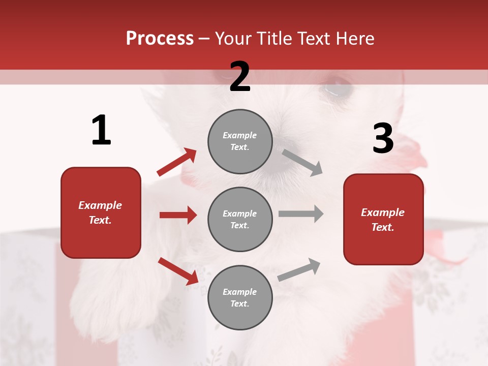 A Small White Dog Sitting Inside Of A Present Box PowerPoint Template