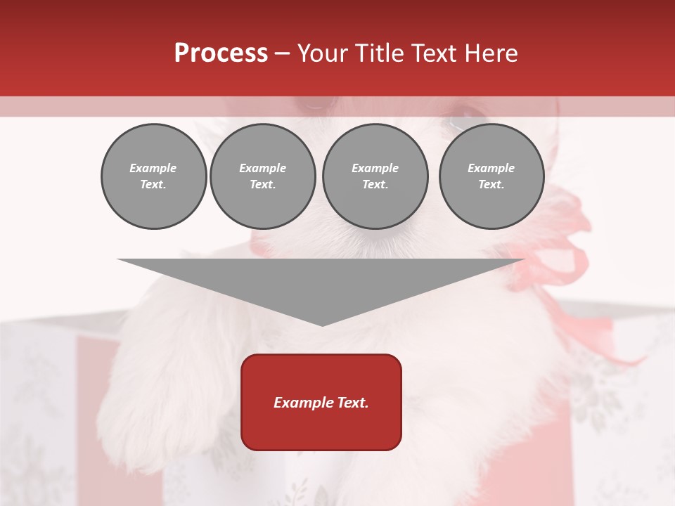 A Small White Dog Sitting Inside Of A Present Box PowerPoint Template