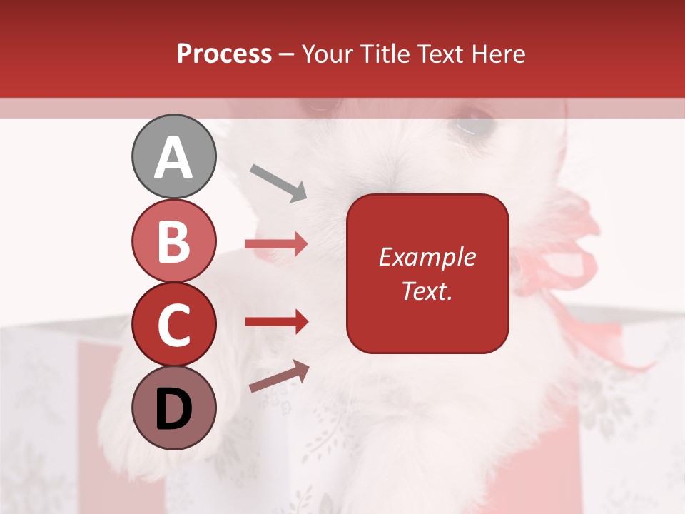 A Small White Dog Sitting Inside Of A Present Box PowerPoint Template