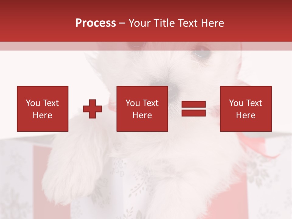 A Small White Dog Sitting Inside Of A Present Box PowerPoint Template