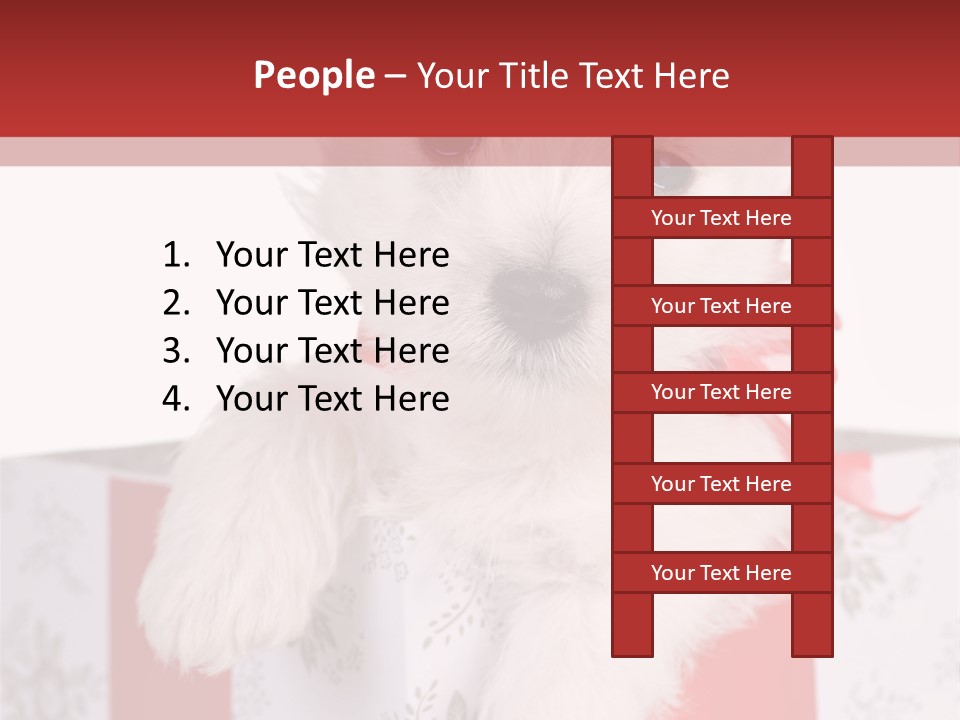 A Small White Dog Sitting Inside Of A Present Box PowerPoint Template