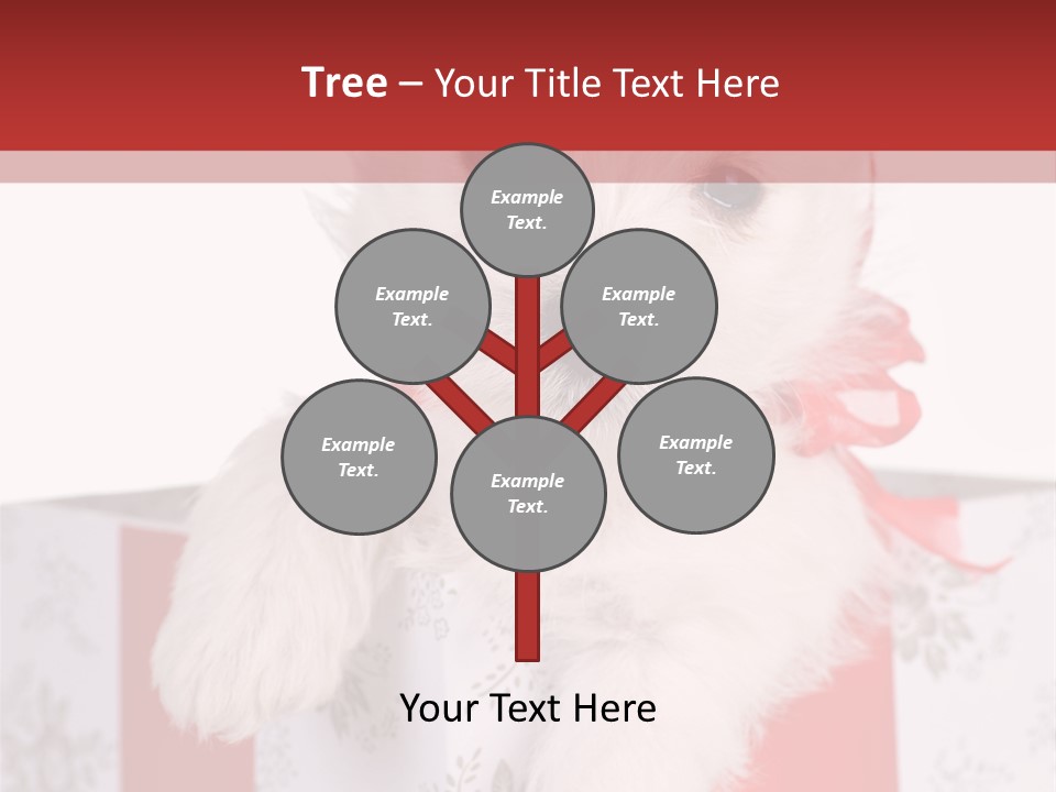 A Small White Dog Sitting Inside Of A Present Box PowerPoint Template